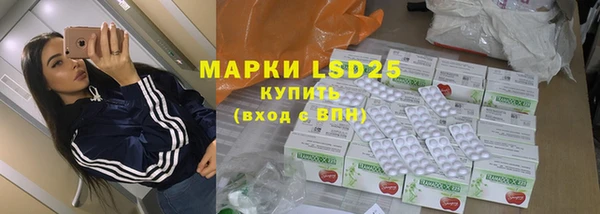 ПСИЛОЦИБИНОВЫЕ ГРИБЫ Горно-Алтайск