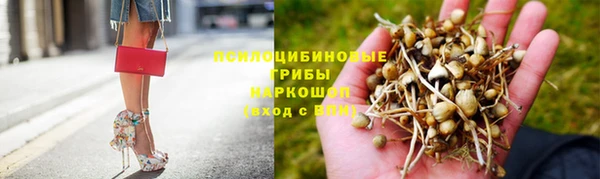 спайс Горнозаводск