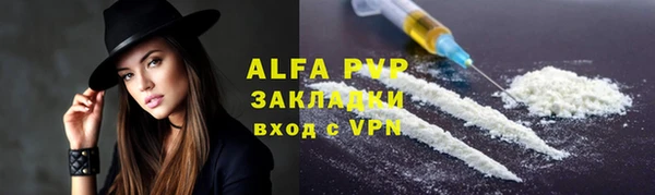 ПСИЛОЦИБИНОВЫЕ ГРИБЫ Горно-Алтайск