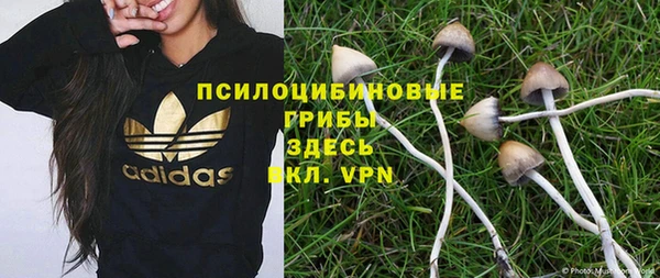 первитин Горняк