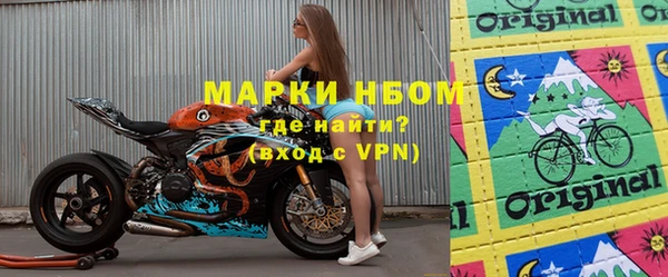 ПСИЛОЦИБИНОВЫЕ ГРИБЫ Горно-Алтайск