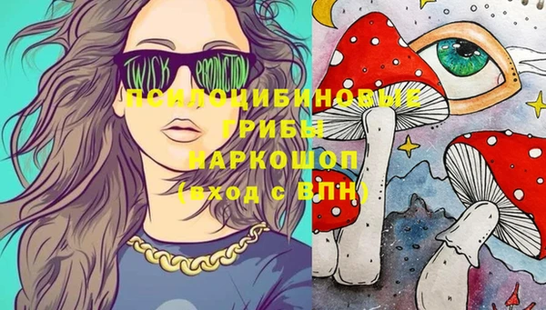 первитин Горняк
