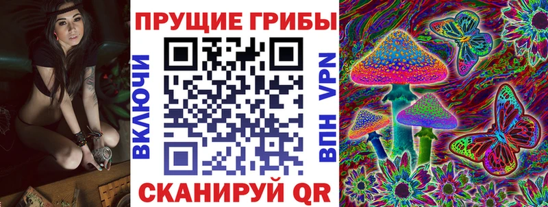купить   Сочи  Галлюциногенные грибы Psilocybe 
